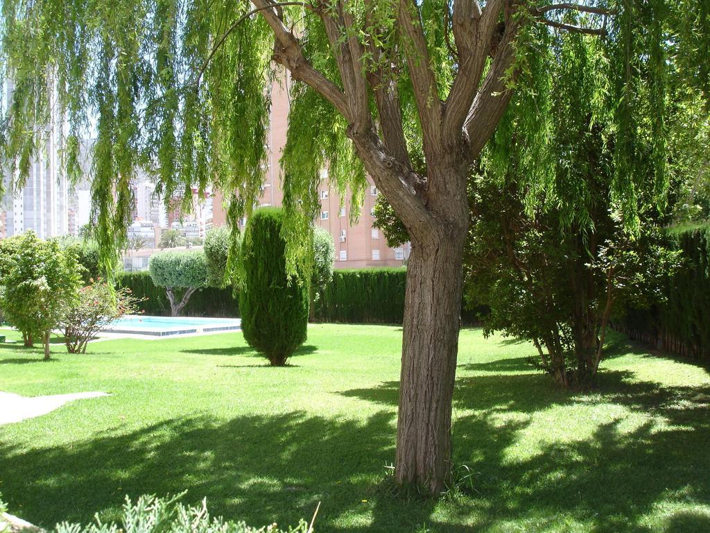 Los Olivos - Zand Properties Бенидорм Стая снимка